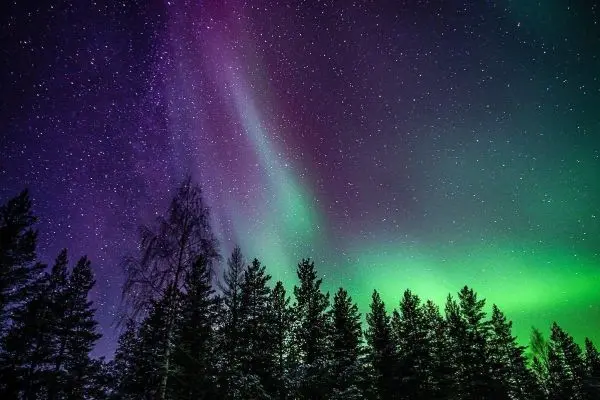 Sternenhimmel mit bunten Polarlichtern über silhouettierten Bäumen