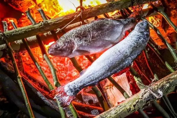 Fische liegen auf einem selbstgebauten Grill über Feuer