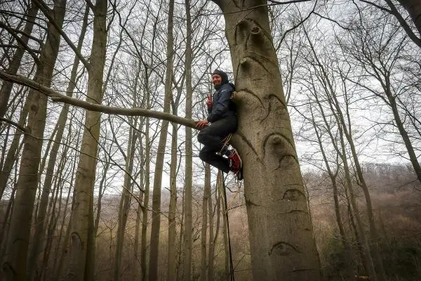 Kletterausrüstung an Baumstamm, Person sitzt auf Ast und hält sich fest
