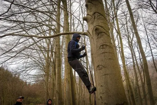 Mann klettert mit Seil an einem Baumstamm hoch