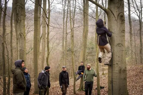 Person klettert an einem Baum, Gruppe beobachtet aufmerksam dabei