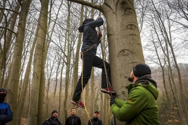 Person klettert an einem Baum hoch, während andere zuschauen beim Überlebenstraining