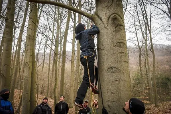Person klettert an einem Baum mit Seilunterstützung beim Überlebenstraining