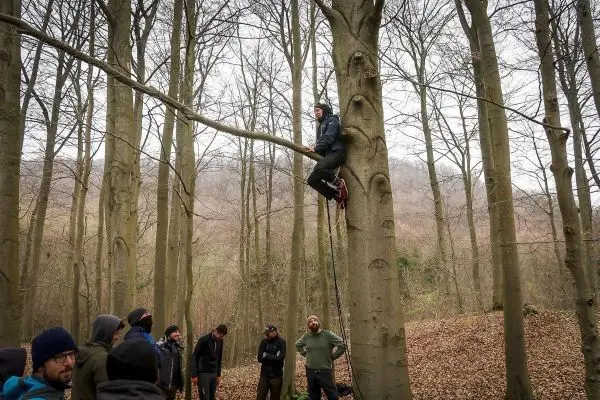 Person klettert an einem Baumstamm, Gruppe beobachtet am Boden