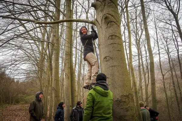 Teilnehmer überquert einen Baumstamm in einem Waldgebiet