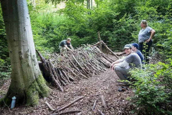 Drei Personen beobachten den Bau einer Holzstruktur im Wald
