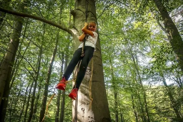 Kind hängt an einem Seil von einem Baum im Wald