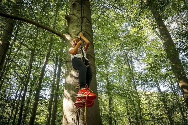 Kind klettert an einem Seil, das an einem Baum befestigt ist