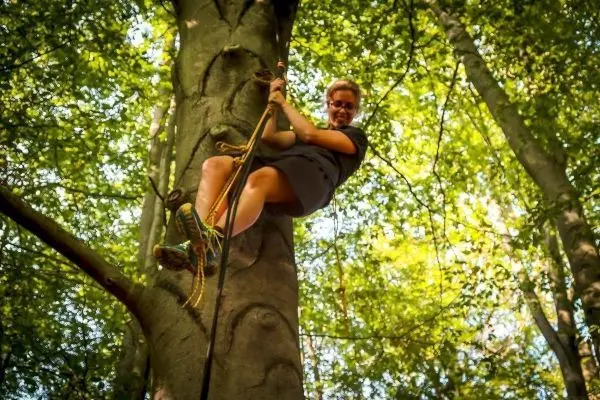 Klettert an einem Baum mit Seil und Kletterausrüstung