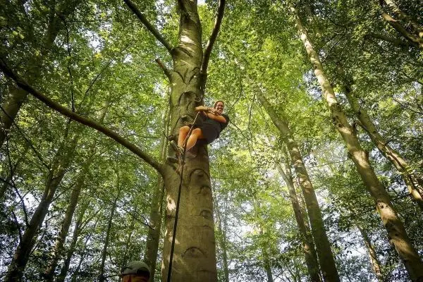 Klettert an einem Baum mit Seilunterstützung in einem Wald