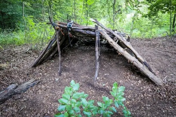 Selbstgebaute Tarp-Notunterkunft aus Ästen im Wald