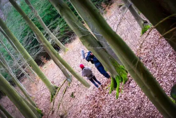 Zwei Personen stehen zwischen Bäumen im Laubwald und betrachten die Umgebung