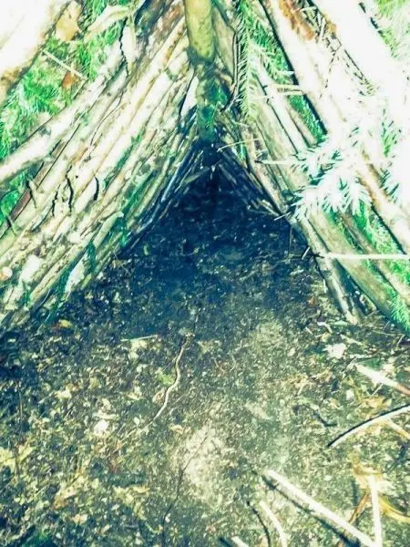 Biwak aus Ästen und Zweigen mit Erdboden im Inneren