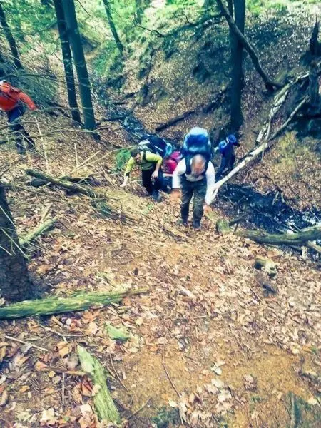 Gruppierung von Personen mit Rucksäcken erklimmt steilen Waldhang entlang eines Baches