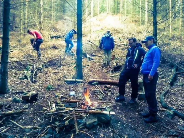 Kleine Flamme brennt zwischen Holzstücken im Wald, Personen sammeln Äste