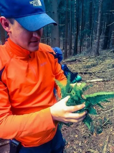Mann hält frische Farne in der Hand, umgeben von Bäumen im Wald
