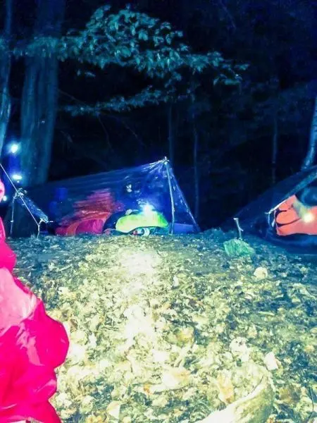 Tarp-Notunterkünfte sind im Wald auf einem Laubboden aufgebaut