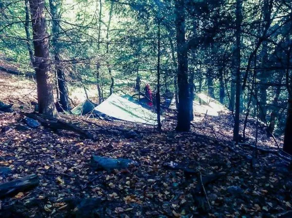 Tarp-Notunterkünfte sind zwischen Bäumen im Wald aufgestellt