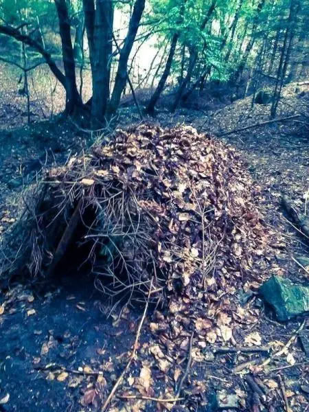 Tarp-Notunterkunft aus Ästen und Laub im Wald aufgebaut