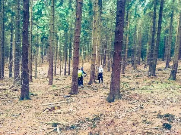 Zwei Personen stehen zwischen Bäumen im Wald und arbeiten an einem Baumstamm