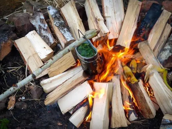 Ein Topf hängt über einem Feuer auf Holzscheiten