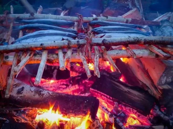 Fisch wird über einem Feuer gegrillt