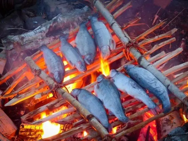 Fische werden über einem offenen Feuer auf einem improvisierten Grill geräuchert