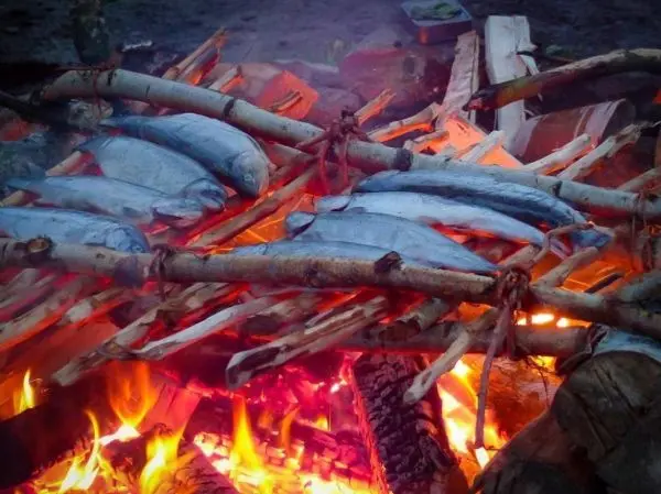 Fische werden über einem offenen Feuer auf Holzstäben gegart