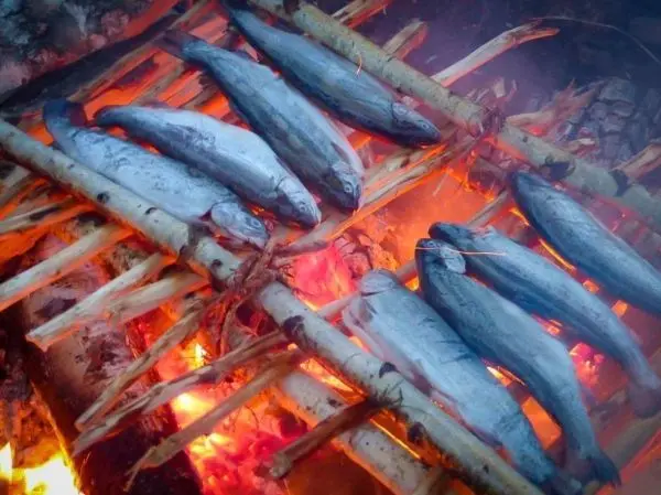 Fische werden über glühenden Kohlen auf einem improvisierten Grill geräuchert