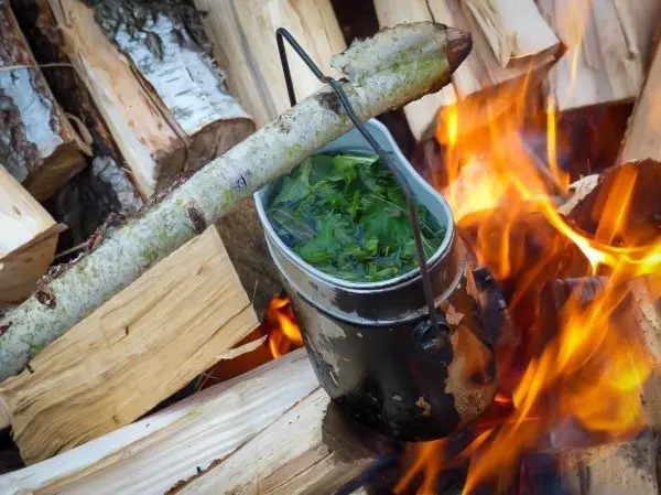 Kessel hängt über Feuer mit grünen Blättern und Holzscheiten im Hintergrund