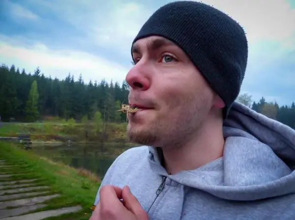 Mann hält ein Stück Gras im Mund und schaut nachdenklich in die Ferne