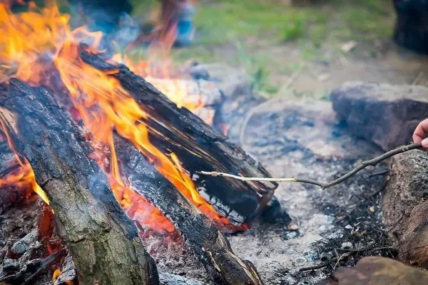 Brennholz brennt im Feuer, Hand hält einen Stock darüber