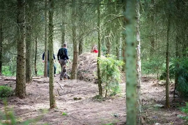 Drei Personen bewegen sich durch einen Wald mit dichten Bäumen und Unterholz