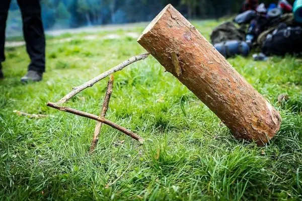Ein Baumstamm steht schräg auf dem Gras, gestützt von Ästen