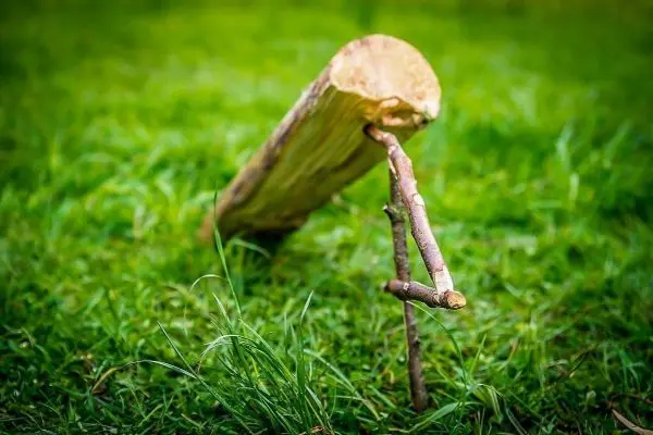 Holzstück steht auf Gras mit einem Ast als Bein