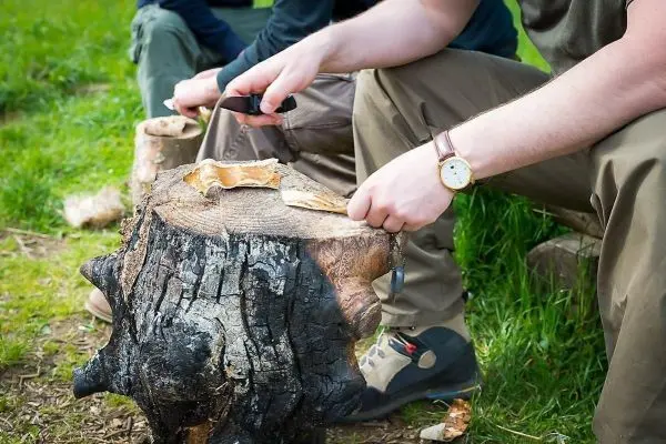 Messer schält Rinde von einem Holzstück auf einem Baumstumpf
