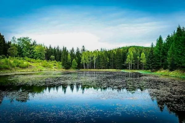 Stillgewässer spiegelt umliegende Bäume und Himmel wider