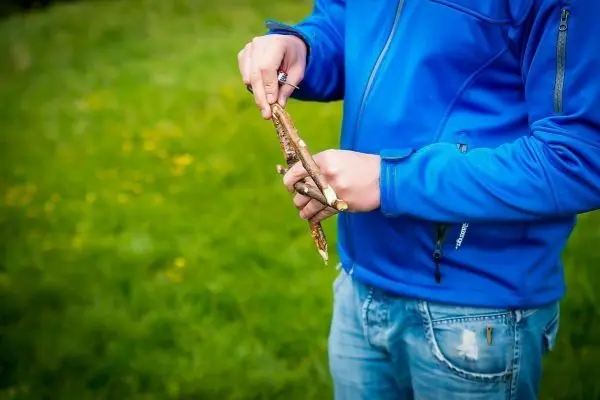 Zwei Holzstücke werden mit einer Hand gehalten und bearbeitet
