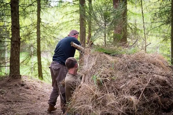 Zwei Personen bauen eine Tarp-Notunterkunft aus Ästen und Laub
