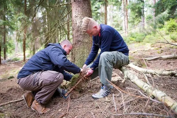 Zwei Personen binden Äste an einem Baum zusammen