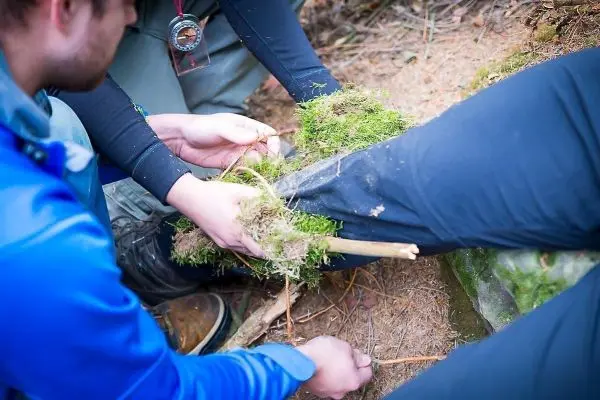 Zwei Personen legen Moos und Äste um ein Bein zur Stabilisierung