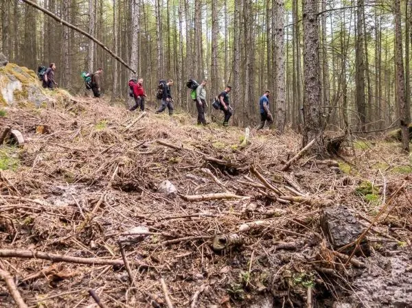 Gruppe wandert einen steilen Hang im Wald entlang, umgeben von Bäumen und Unterholz