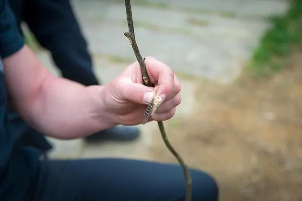 Hand hält einen Stock mit einer Kerbe für eine Konstruktion