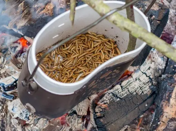 Kessel mit Insekten auf glühenden Holzscheiten über Feuerstelle
