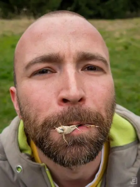 Mann mit Bart hält einen kleinen Ast im Mund