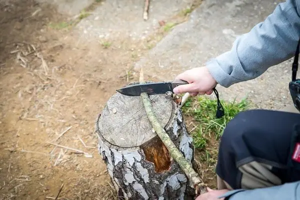 Messer schneidet einen Stock auf einem Baumstumpf