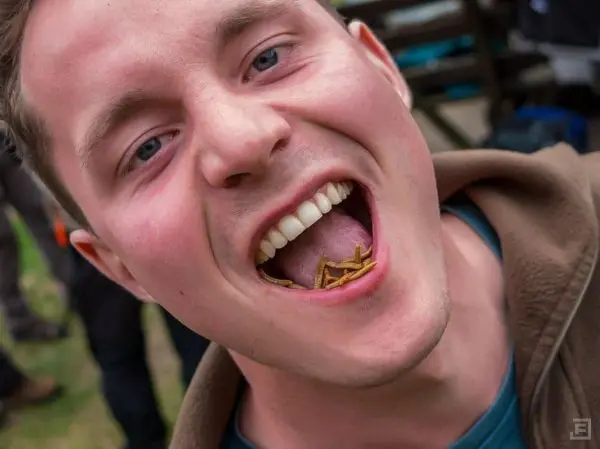 Mund mit Insekten gefüllt, Person lächelt in die Kamera