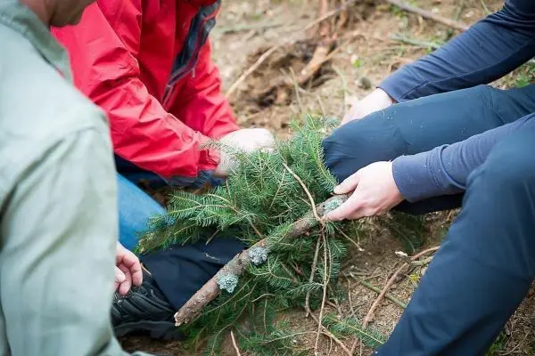 Zwei Personen binden Äste und Tannenzweige zu einer improvisierten Trage