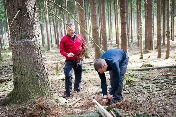 Zwei Personen sammeln Äste und bereiten den Boden im Wald vor