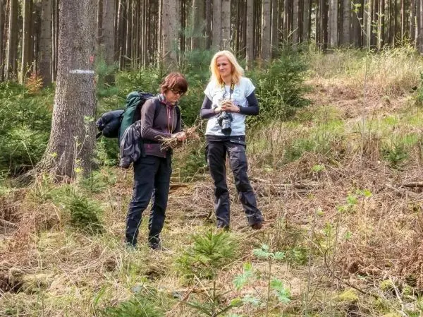Zwei Personen stehen im Wald und betrachten Pflanzenmaterial